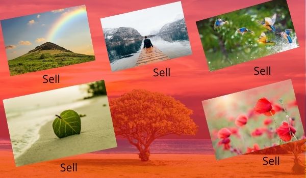 Online फोटो कैसे बेचें
