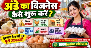 अंडे का बिजनेस कैसे शुरू करें