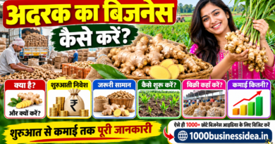 अदरक का बिजनेस कैसे करें