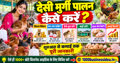 देसी मुर्गी पालन कैसे करें